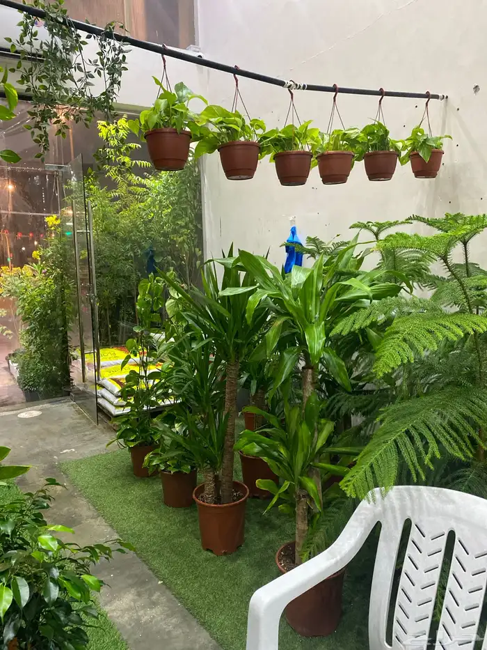 يعلن مشتل فرايد للزراعه 2