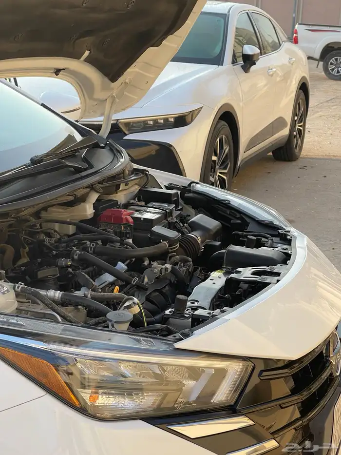 صني 2024. نص فل شبه وكاله مكسيكي 16