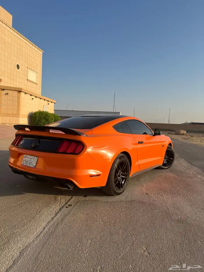 للبيع موستنج 2015 نظيف جدا 9