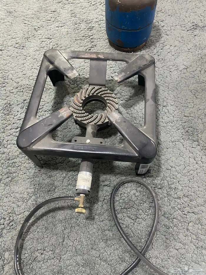 قدر وقز ودافور 5