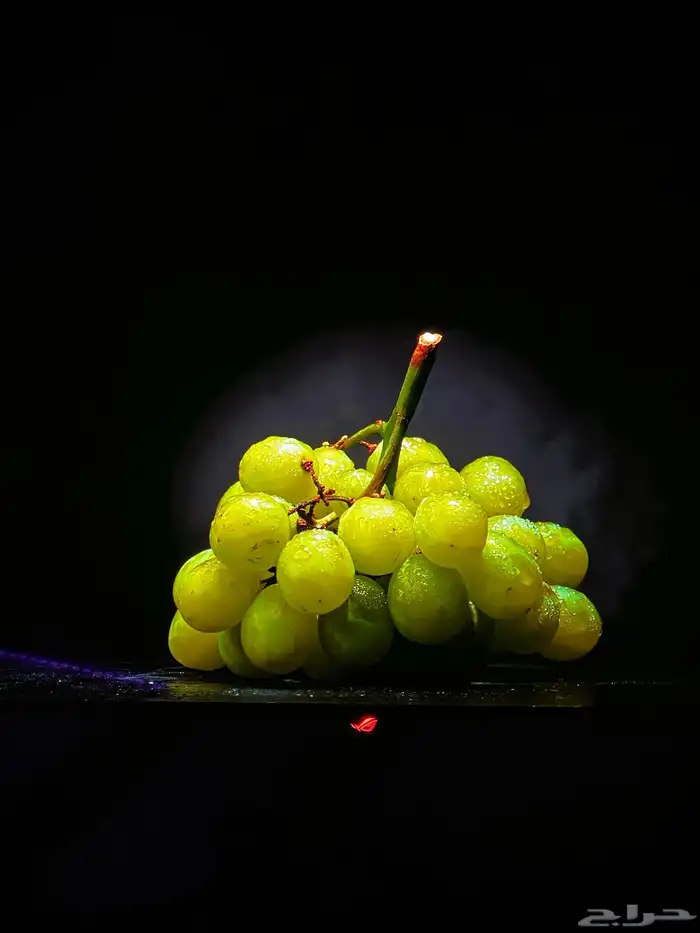 Asus Rog 2k OLED 240Hz 1