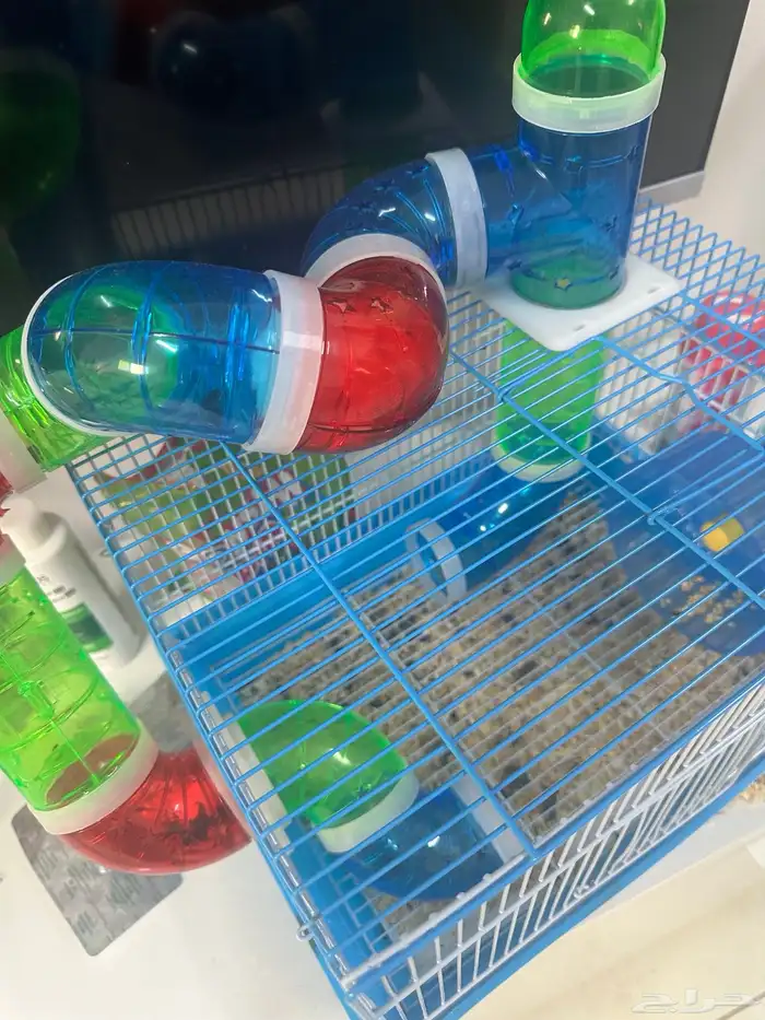 قفص هامستر مع هامستريين 0