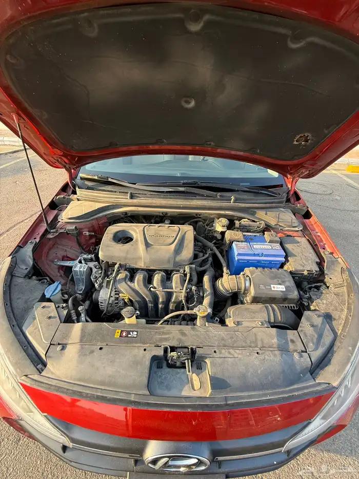 النترا 2019 13