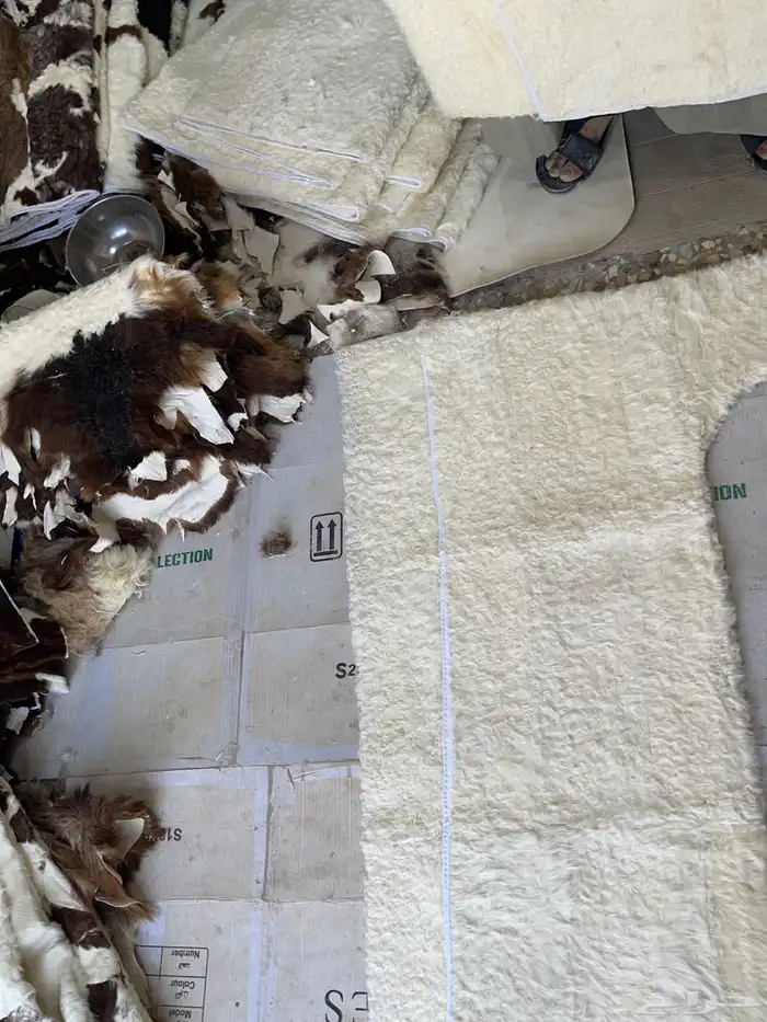 طفيلي فروة جلد طبيعي عرض خاص 43