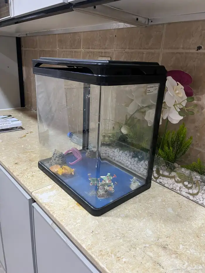 بيع حوت سمك ما ادري هو شغال ولا خربان 1