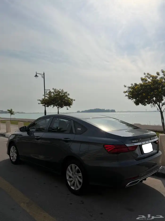 جيلي بينراي 2022 للبيع 3