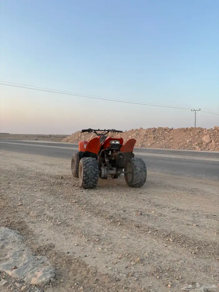 دباب تواني مقاس 100 3