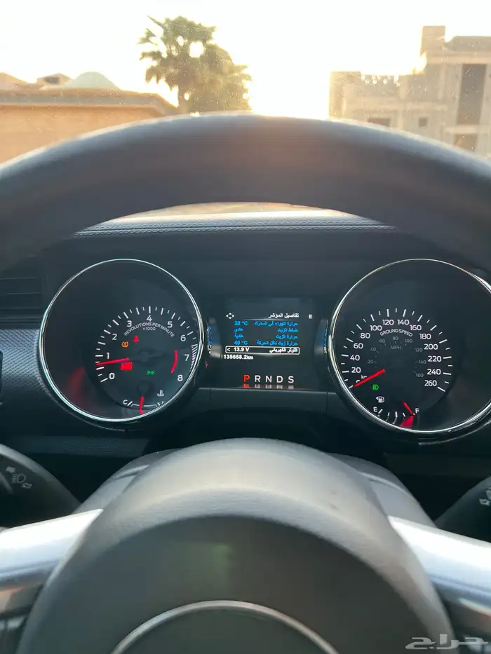 للبيع موستنج 2015 نظيف جدا 22