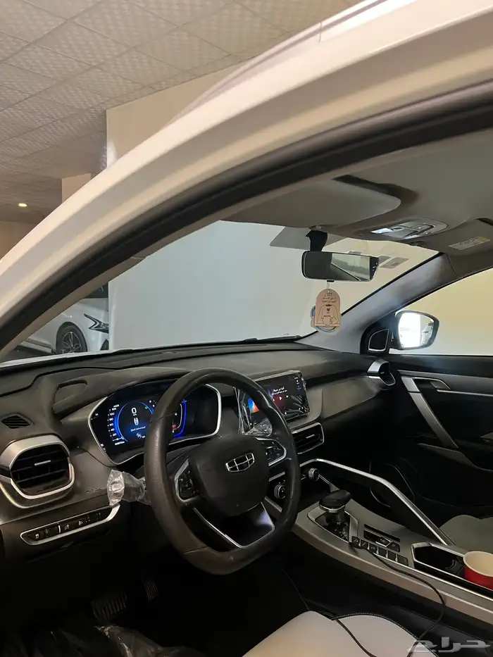 جيلي كولراي 2023 6