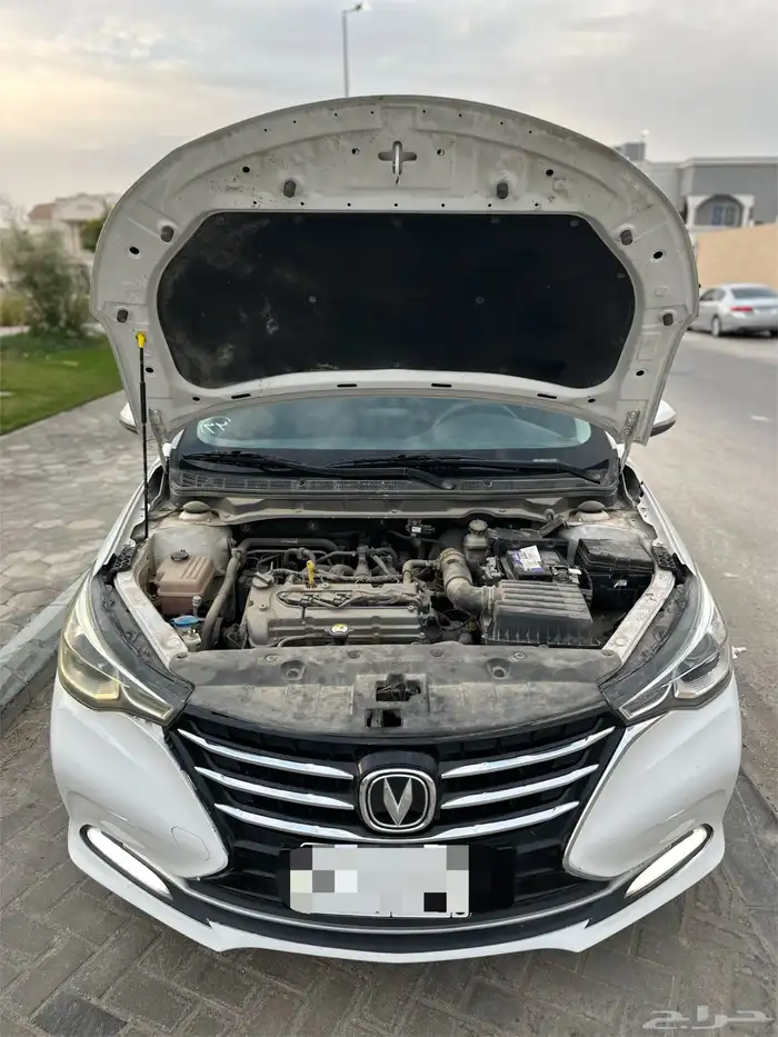 شانجان السفن وارد المجدوعي فل كامل 3