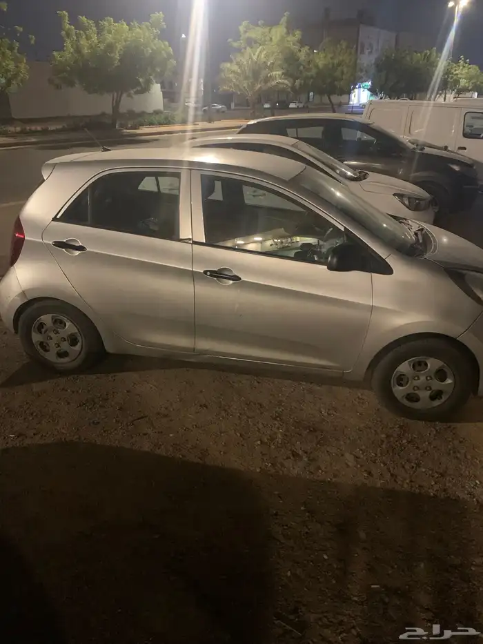 المدينه المنوره 1