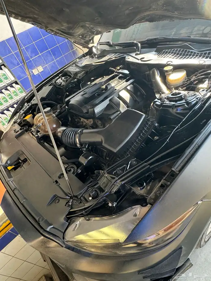 موستنج كشف قمة في النظافه 2017 3