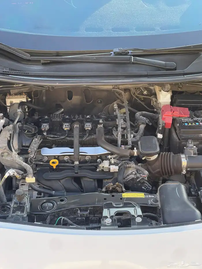 صني 2024. نص فل شبه وكاله مكسيكي 12