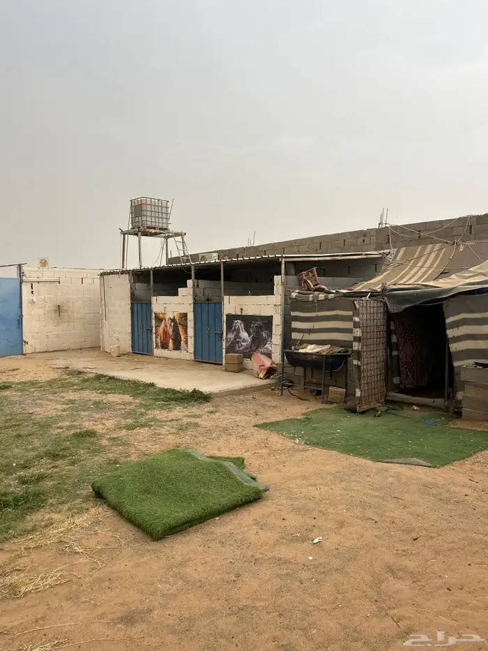 اسطبل 8 غرف 6