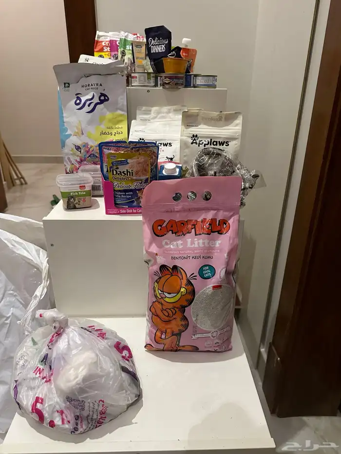 اكل قطط منوع 4