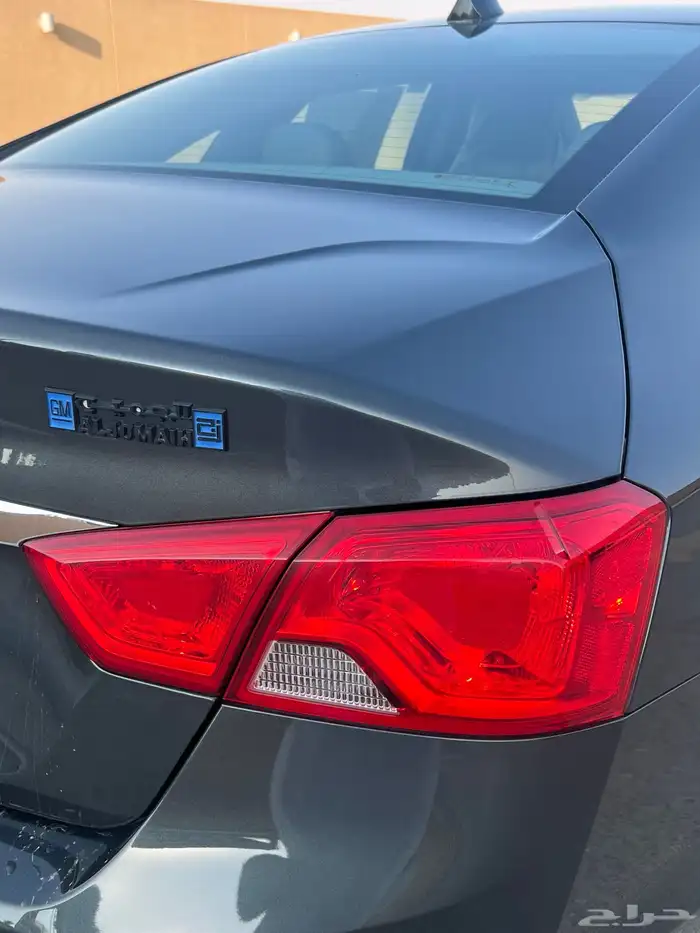 امبالا 2019 - LS مطور مخزنه شبه اصفار 16