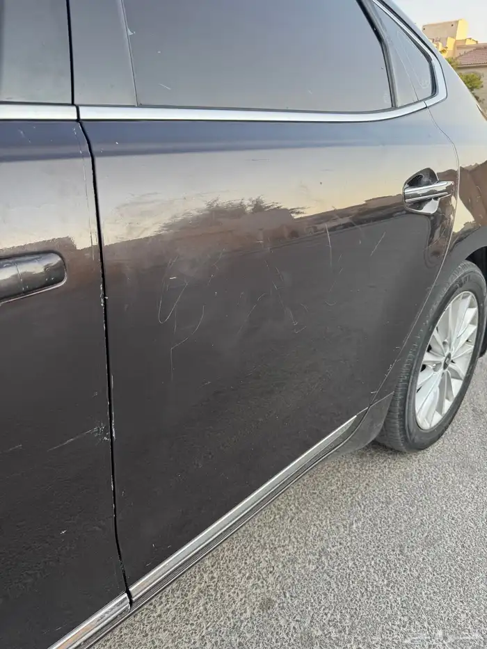 كادينزا 2017 7