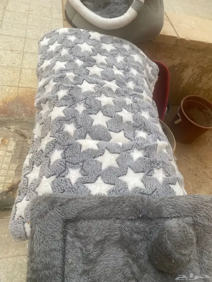 مستلزمات قطط للبيع 0