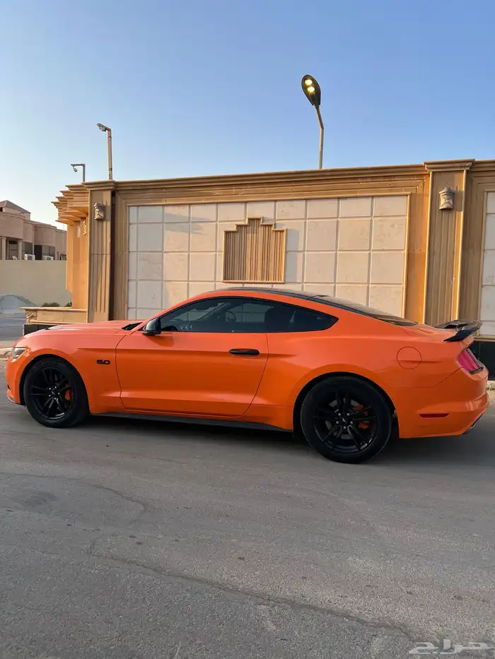 للبيع موستنج 2015 نظيف جدا 12