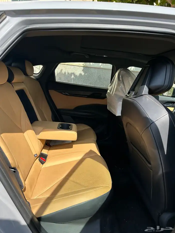 شانجان يوني في 2024 6