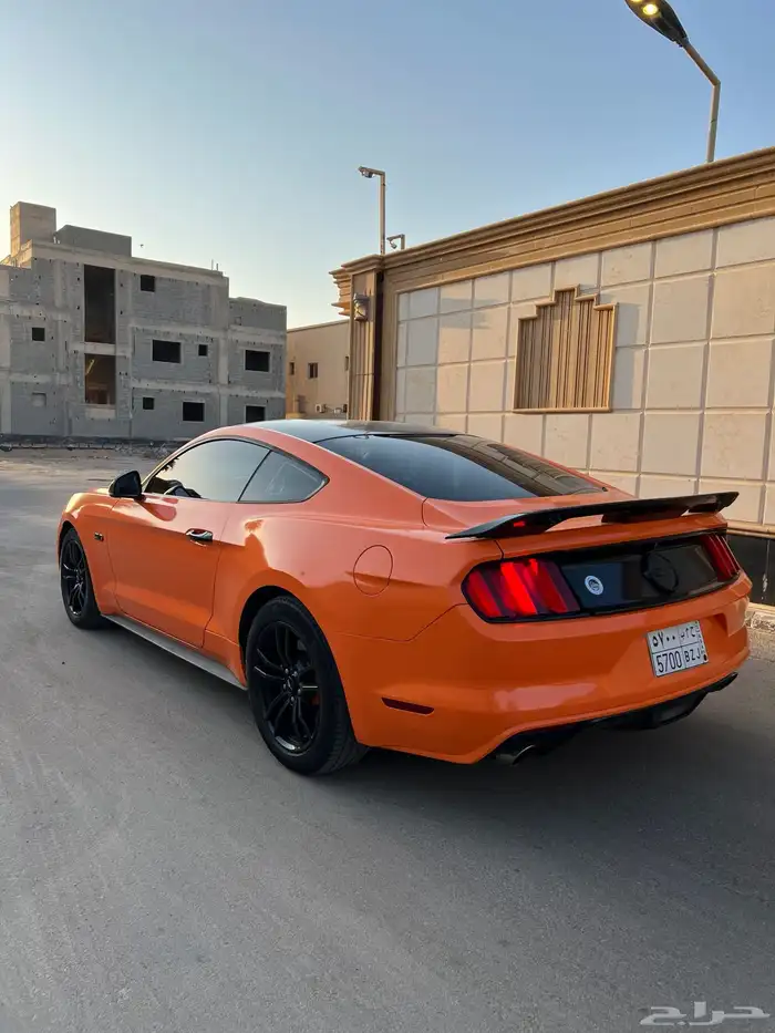 للبيع موستنج 2015 نظيف جدا 15