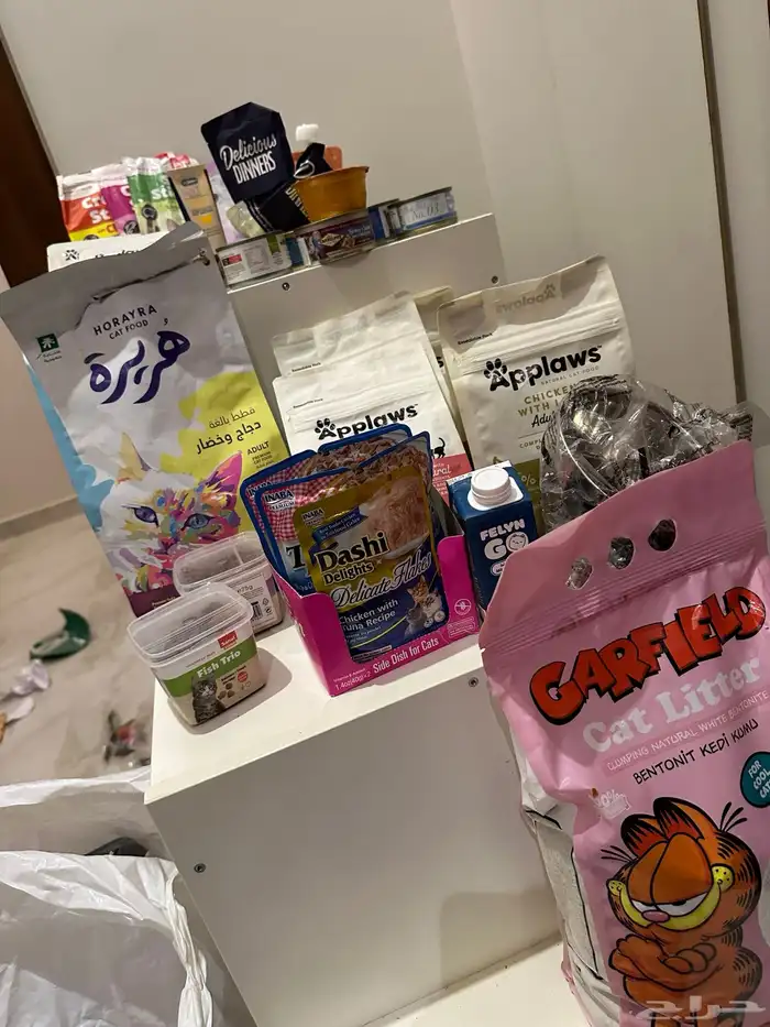 اكل قطط منوع 1