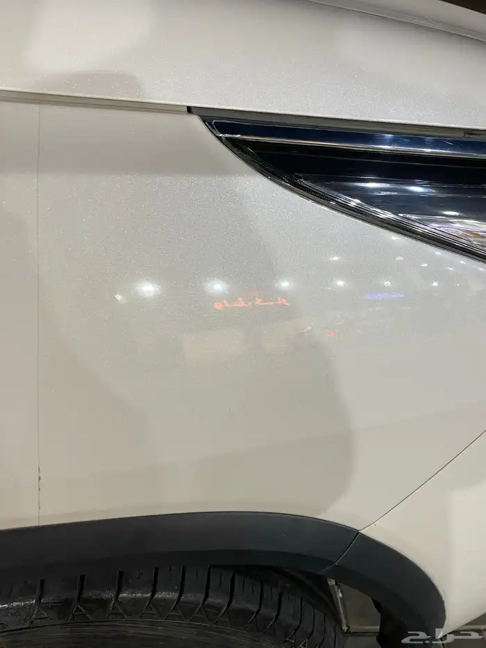 فور شنر 2020 15