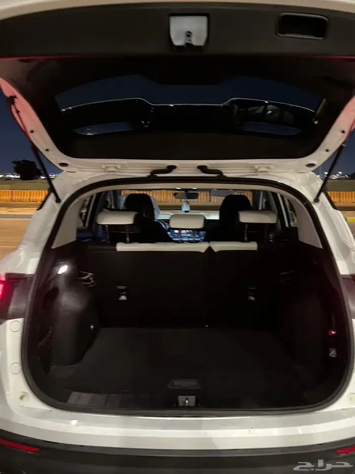 جيلي كولراي 2023 6