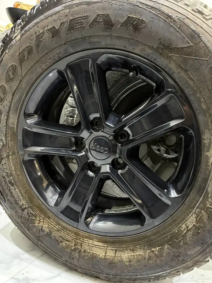 جنوط رانجلر 0