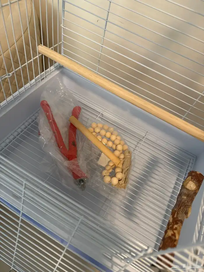 مستلزمات طيور 5