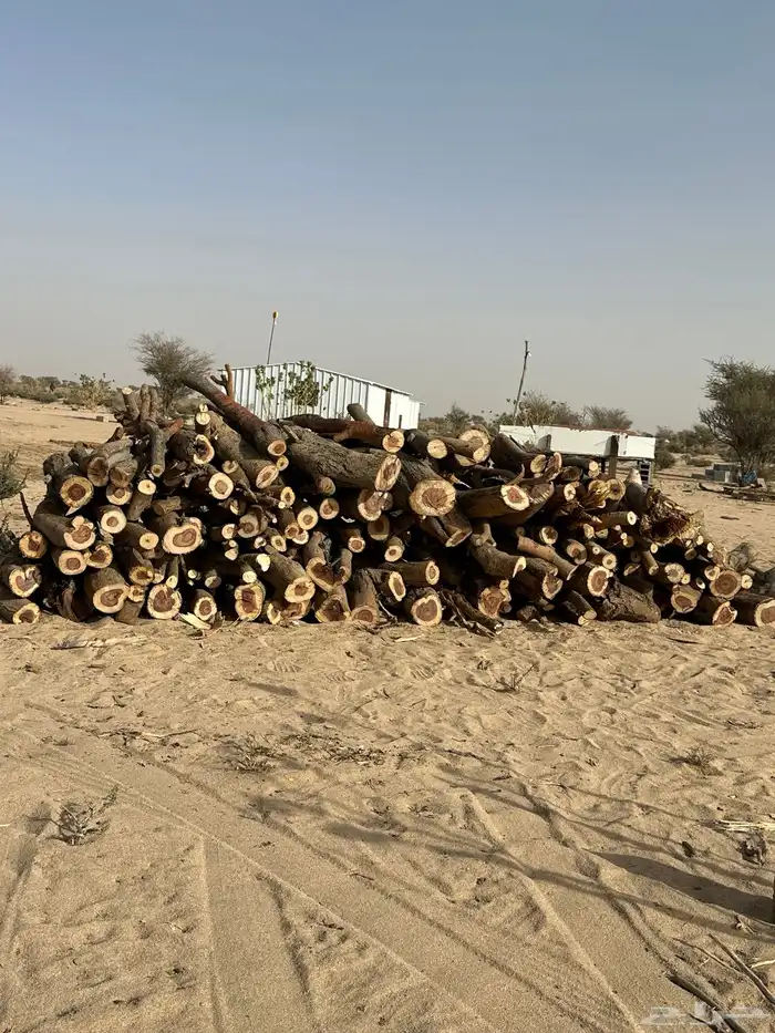 حطب سمر يوجد توصيل 0