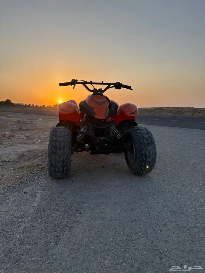 دباب تواني مقاس 100 4