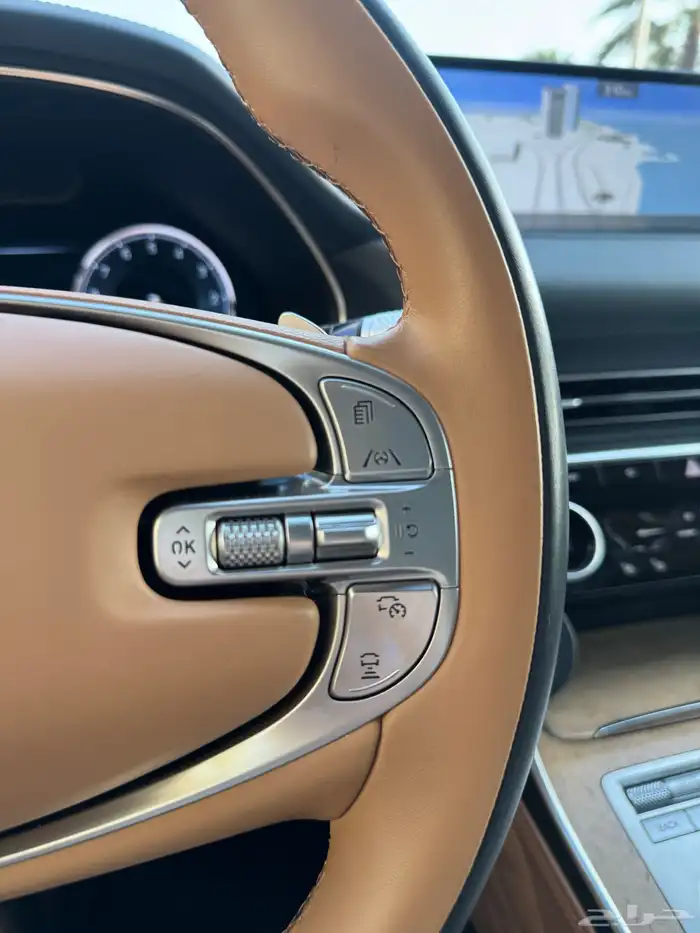 جينسس 2023 لون مطفي 13