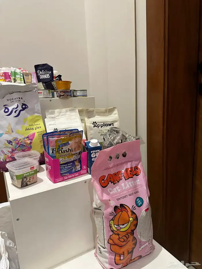 اكل قطط منوع 2