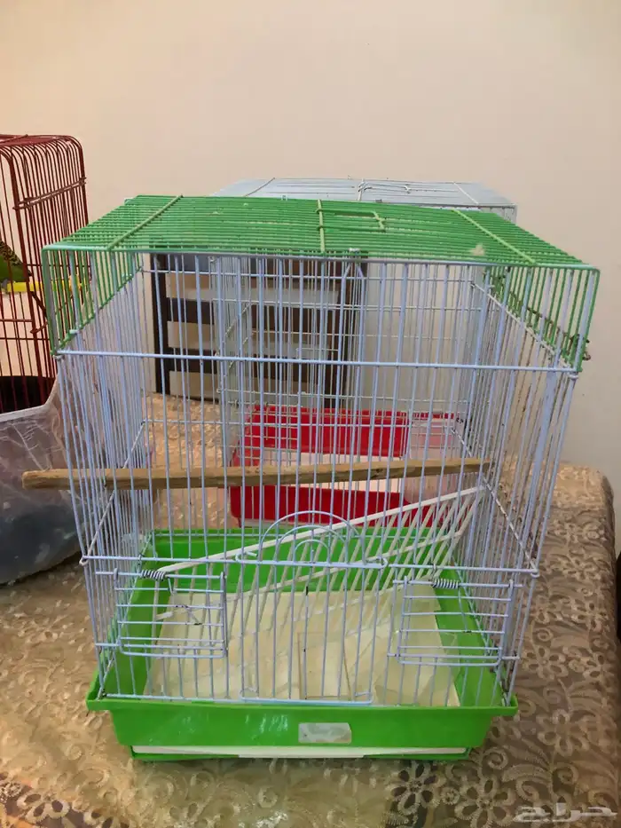 عصافير بادجي انتاجي 3