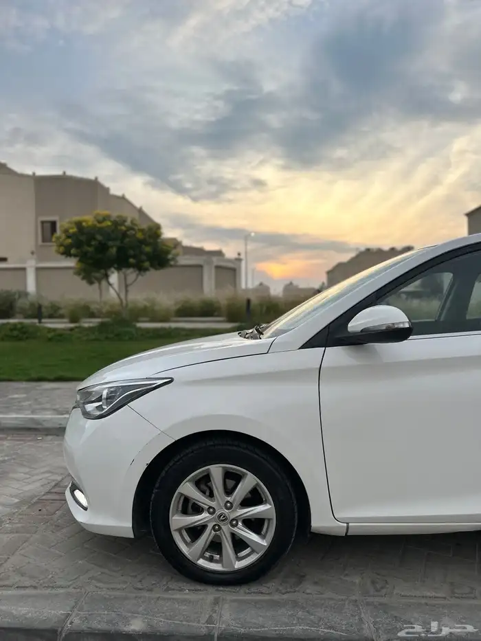 شانجان السفن وارد المجدوعي فل كامل 7