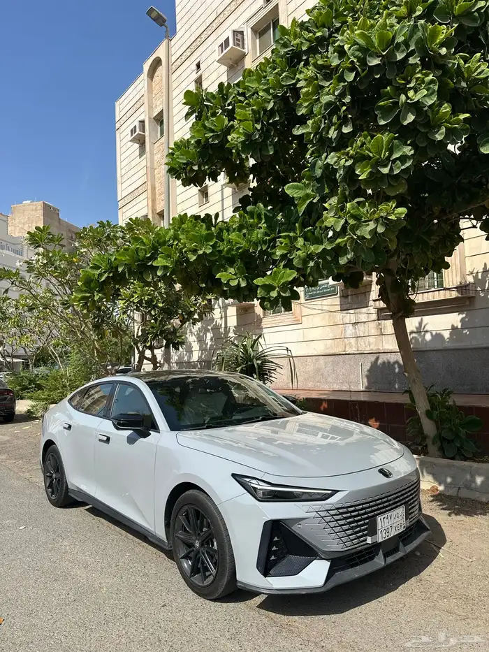 شانجان يوني في 2024 1