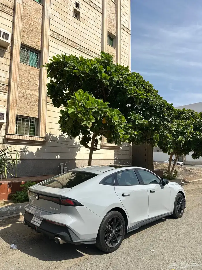 شانجان يوني في 2024 5