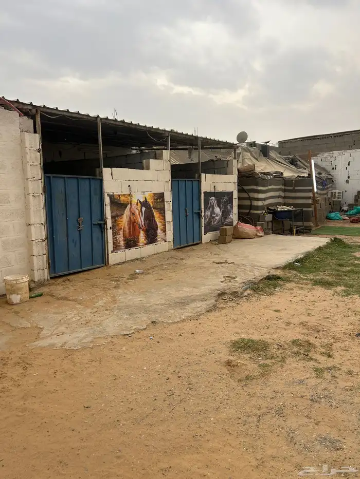 اسطبل 8 غرف 5