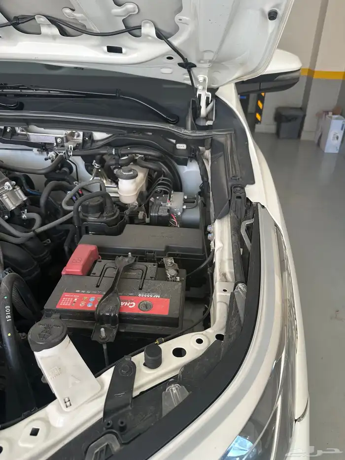 فورشنر نظيف دبل 2021 10