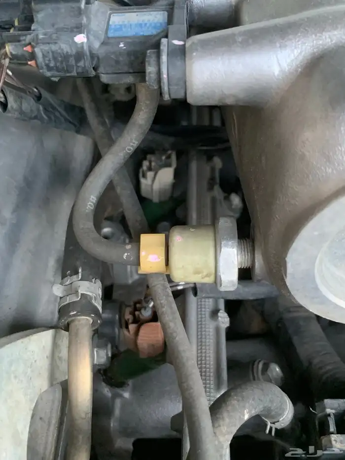 جكساار 2006 شد بلد 31