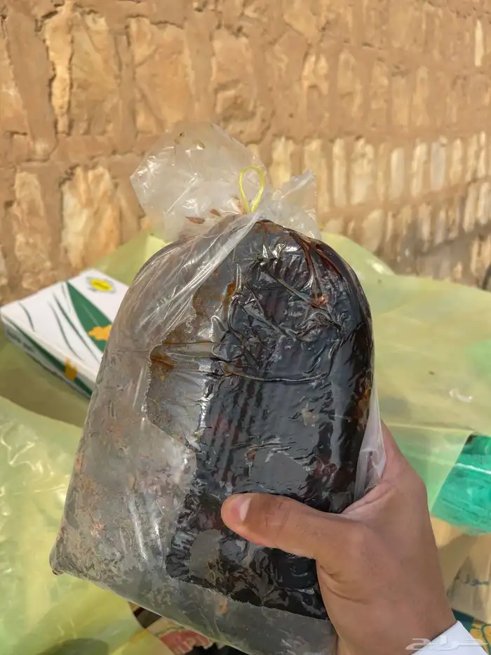 تمر حويل (علف) ضميد يدوي وعجين 2