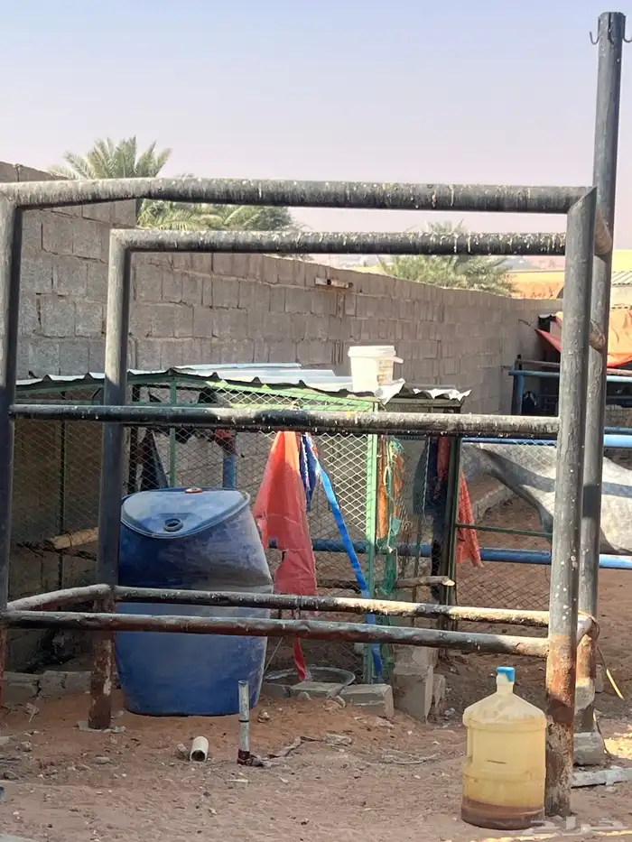 سكراب حديد 0