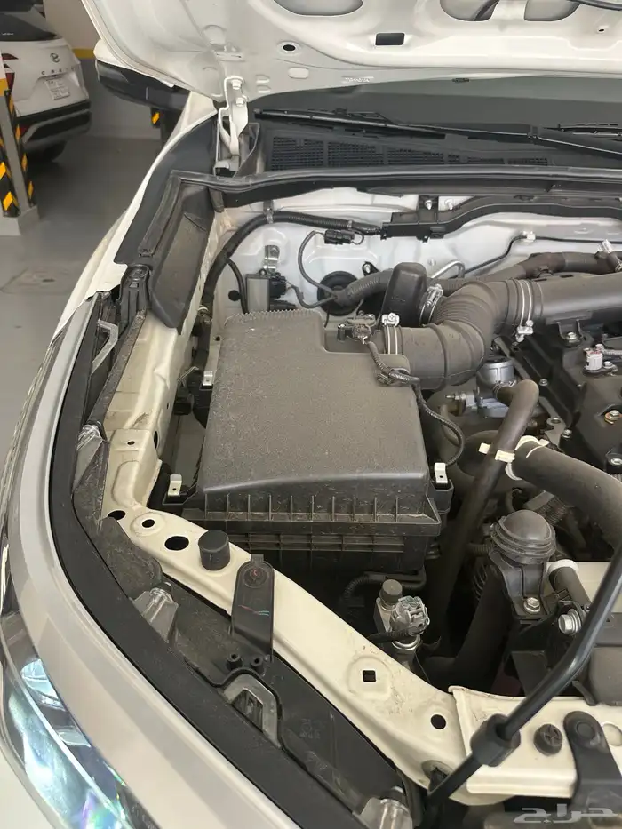 فورشنر نظيف دبل 2021 11