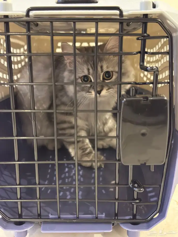 قفص متنقل للحيوانات 3