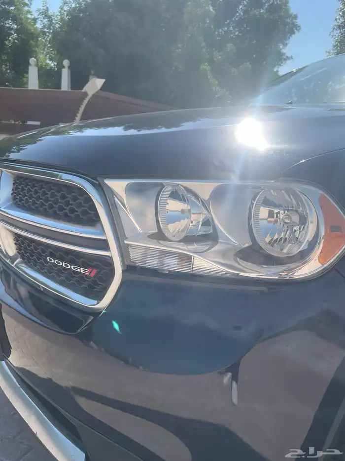 دوج درانجو 2013 14