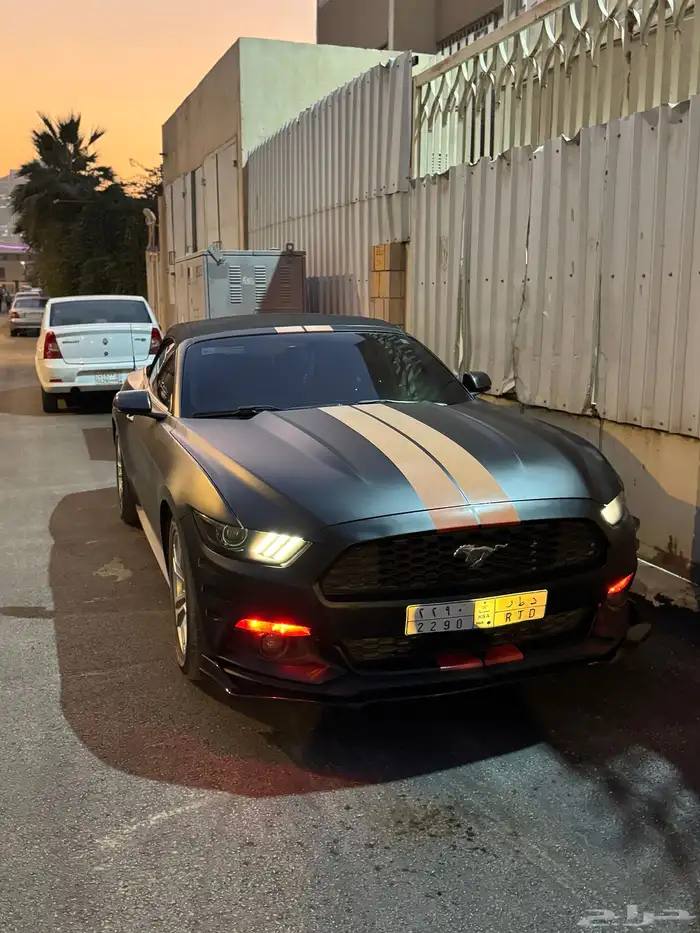 موستنج كشف قمة في النظافه 2017 8