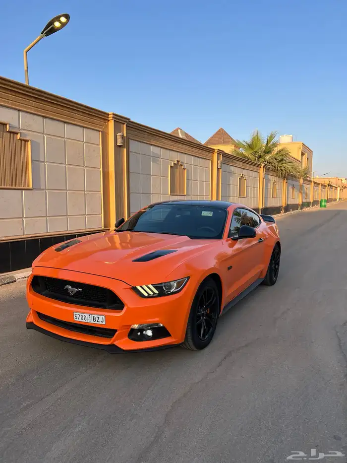 للبيع موستنج 2015 نظيف جدا 18