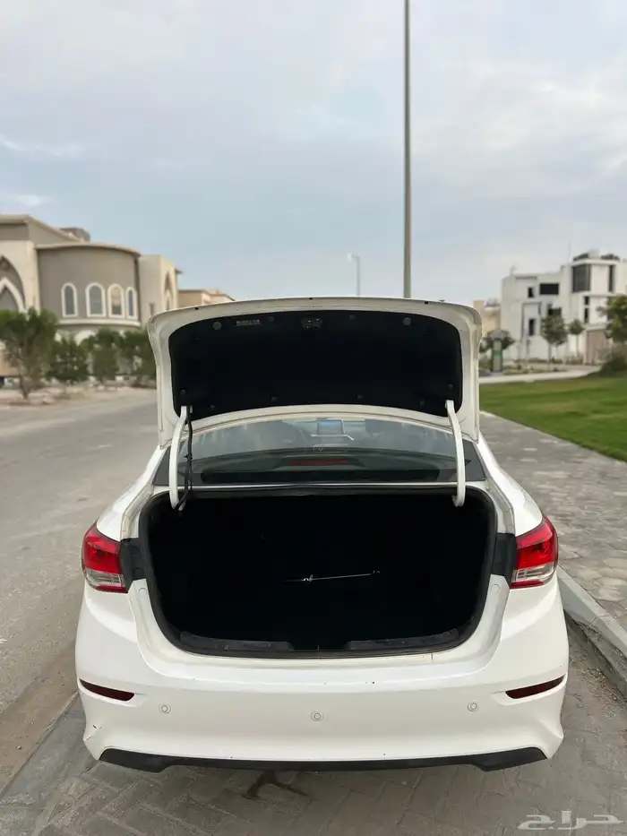 شانجان السفن وارد المجدوعي فل كامل 25