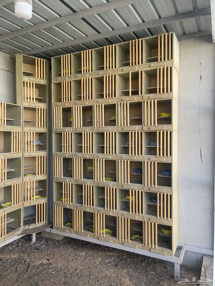 محاكر حمام او رفوف 5